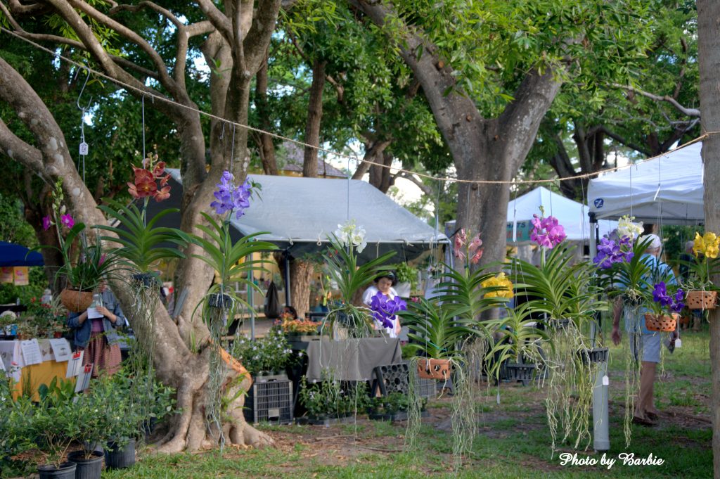 Bonnet House International Orchid & Garden Festival